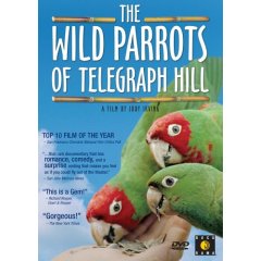 WildParrots.jpg