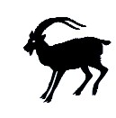 Do I haunt your dreams?